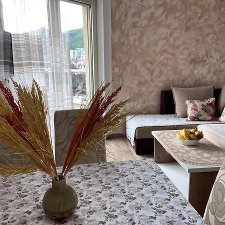 Apartment Dragan บุดวา ภายนอก รูปภาพ